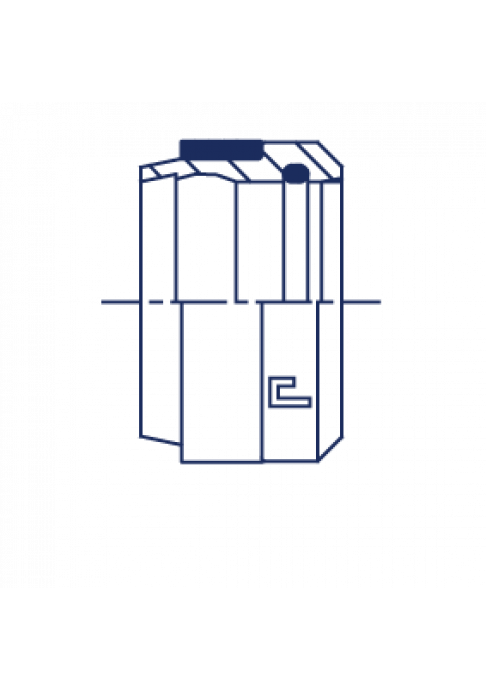 Кольцо R DL35 B4