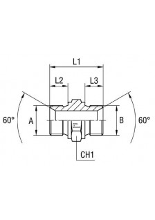 Соединение P BSP 1/2" BSP 1"