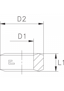Шайба BSP1/4"