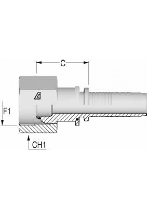 Фитинг DN 12 BSP (Г) 3/4