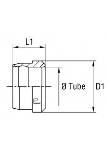 Кольцо R DL/DS10
